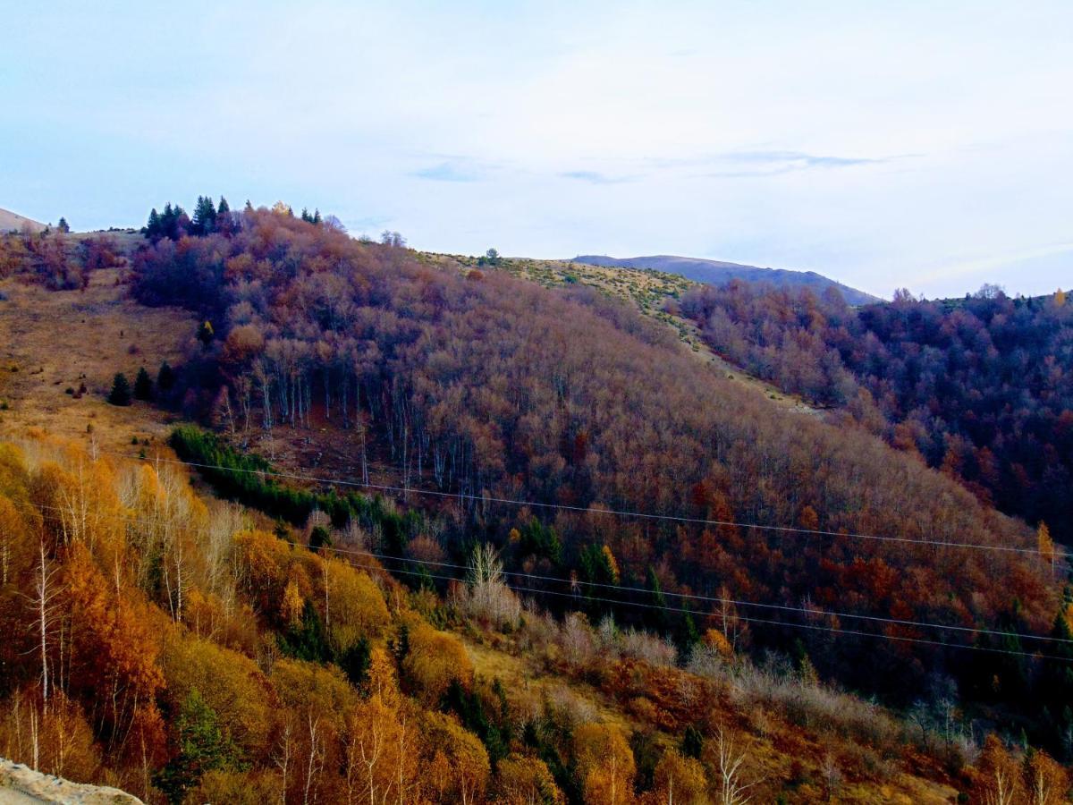 Sunny Days apartman Kopaonik Bagian luar foto